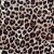 Brown Leopard